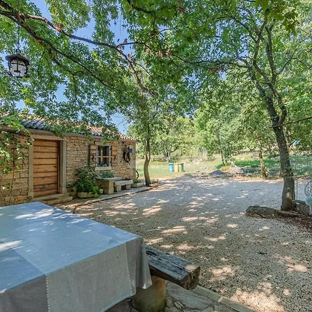 Apartment Farm House